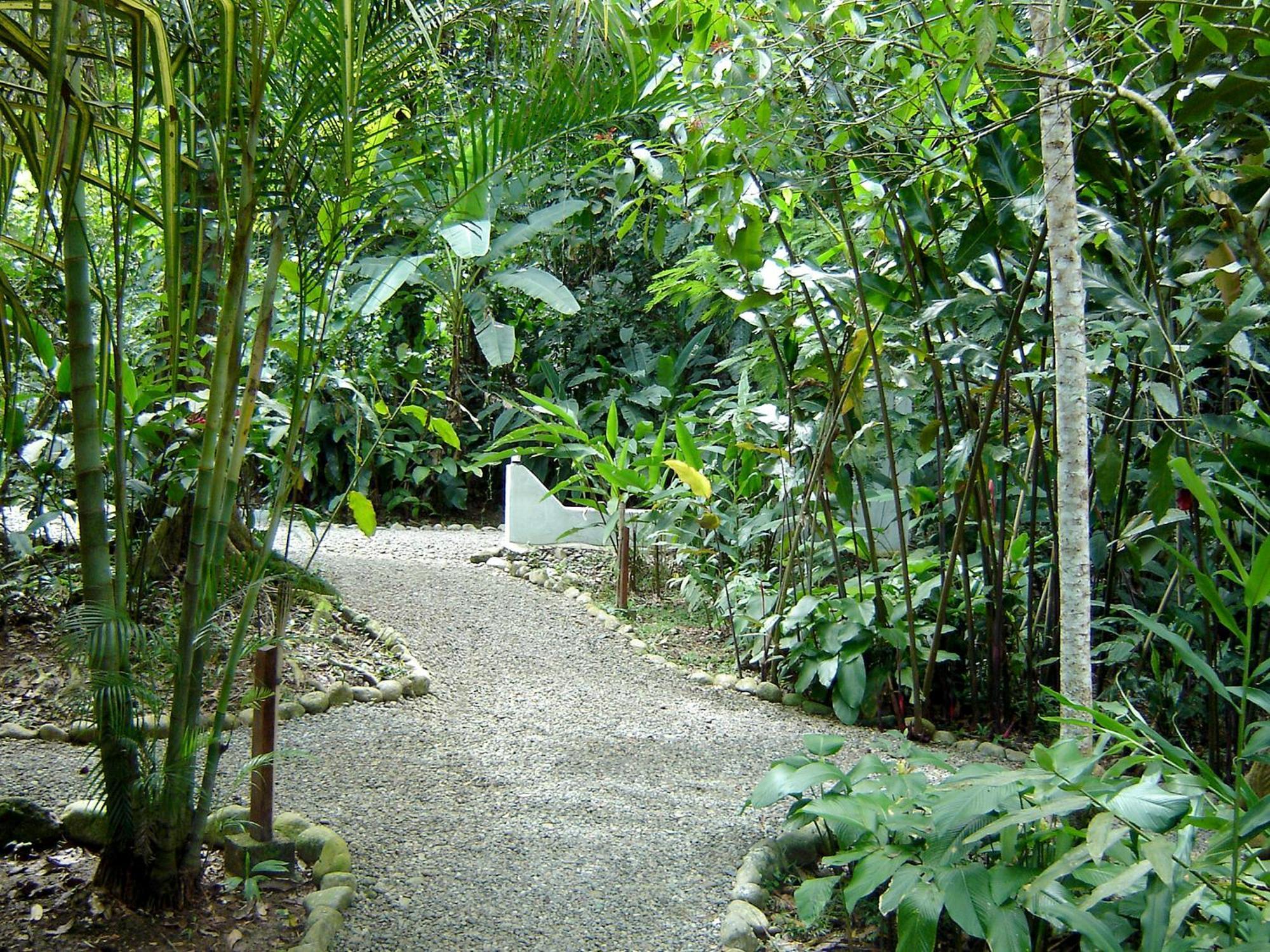 El Colibri Lodge Manzanillo  Eksteriør billede