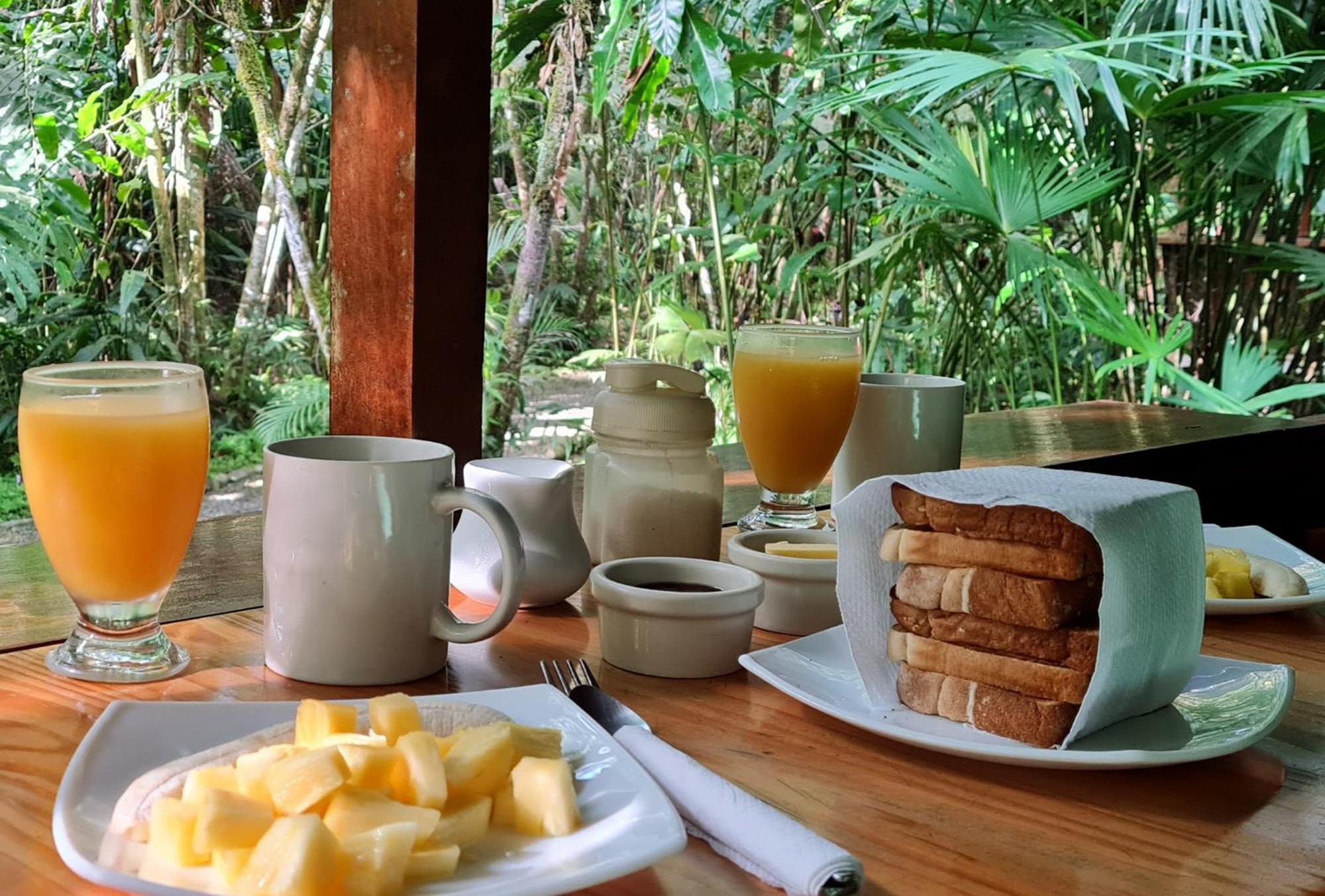 El Colibri Lodge Manzanillo  Eksteriør billede