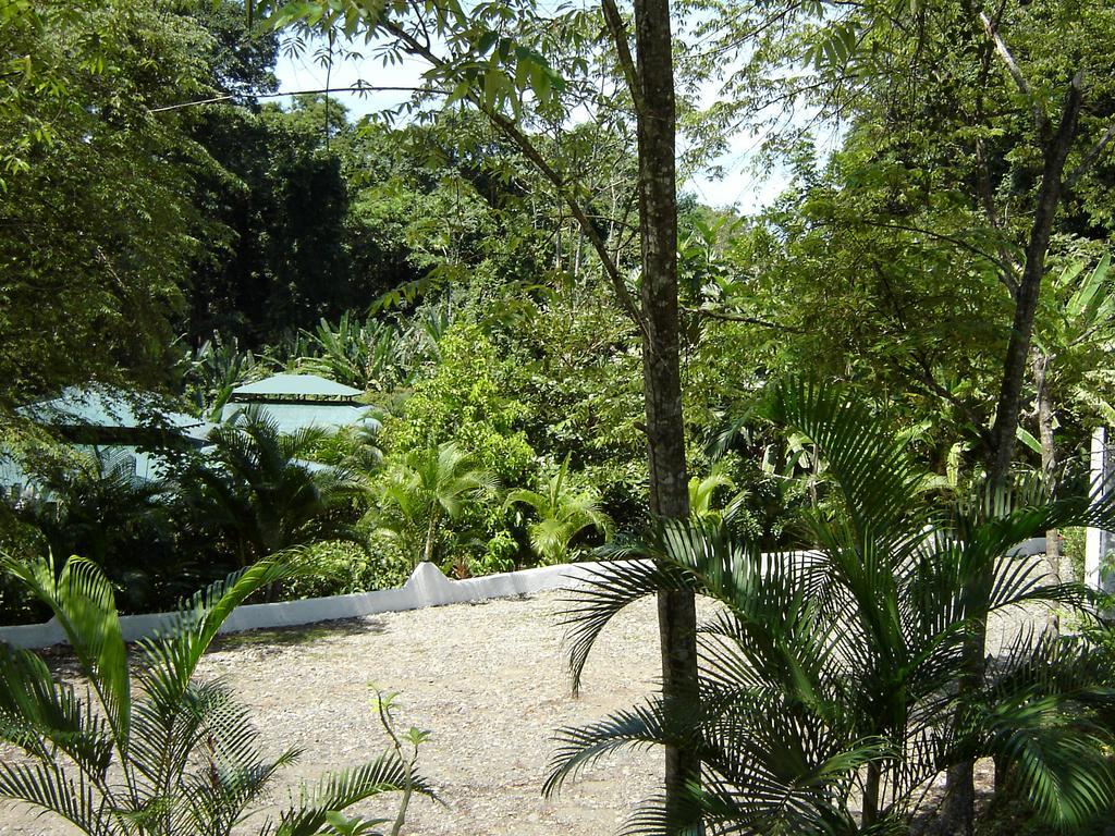 El Colibri Lodge Manzanillo  Eksteriør billede