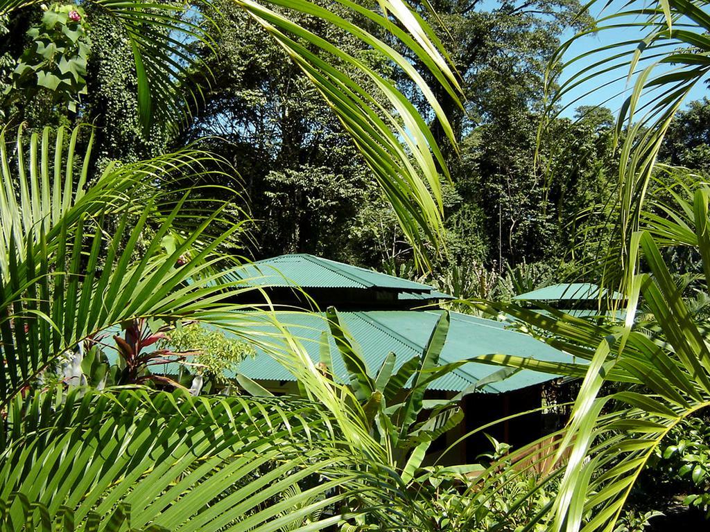 El Colibri Lodge Manzanillo  Eksteriør billede